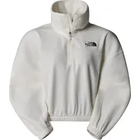 The North Face NF0A89J9QLI W 100 Glacier Half Zip
