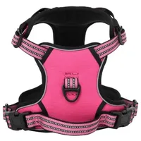 VidaXL Hundegeschirr mit Leine & Halsband Verstellbar Rosa XL