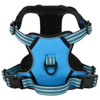 VidaXL Hundegeschirr mit Leine & Halsband Verstellbar Blau XL
