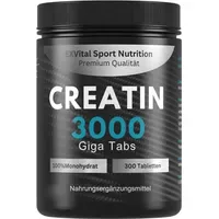 Exvital Creatin Monohydrat 3450 mg Tabletten 300 Stück