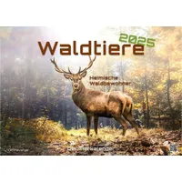 GP-Fever.de Waldtiere - Heimische Waldbewohner - Der Tierkalender -