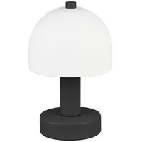 Trio Reality Leuchten Tischlampe GLENN, H 18,5 cm -