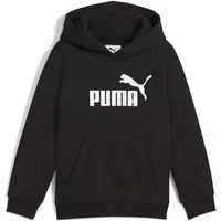 Puma Essentials No. 1 Logo Fleece Hoodie Jungen 01