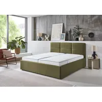 SUN GARDEN Durango Polsterbett Holzwerkstoff/Polyester - grün