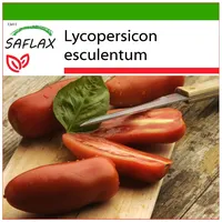 SAFLAX - Tomate - San Marzano - 10 Samen