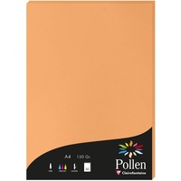 Clairefontaine 4208C Packung mit 50 Karten Pollen 120g, DIN