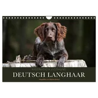 Calvendo Verlag GmbH Faszination Jagdhund - Deutsch Langhaar (Wandkalender