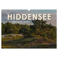 Calvendo Insel Hiddensee - Wildromantisch unberührt (Wandkalender 2025 DIN