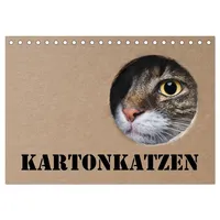 Calvendo Karton Katzen (Tischkalender 2025 DIN A5 quer) CALVENDO