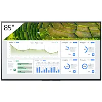 Sony Pro BRAVIA FW-98BZ30L 98" schwarz