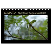 Calvendo Verlag GmbH SUMATRA Abenteuer Regenwald (Wandkalender 2025 DIN