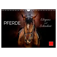 Calvendo Verlag GmbH Eleganz und Schönheit - Pferde (Wandkalender