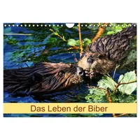 Calvendo Das Leben der Biber (Wandkalender 2025 DIN A4