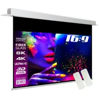 ESmart Expert CSX Deckeneinbau Leinwand 244 x 137 cm