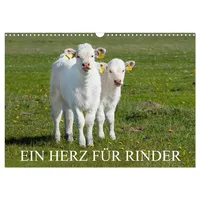 Calvendo Ein Herz für Rinder (Wandkalender 2025 DIN A3