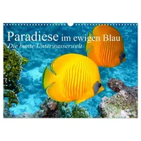 Calvendo Paradiese im ewigen Blau. Die bunte Unterwasserwelt (Wandkalender