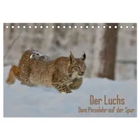 Calvendo Der Luchs - Dem Pinselohr auf der Spur