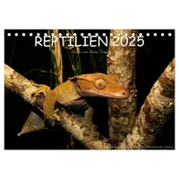 Calvendo REPTILIEN (Tischkalender 2025 DIN A5 quer) CALVENDO Monatskalender