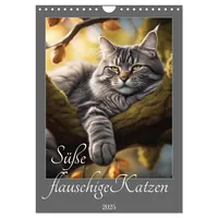 Calvendo Süße flauschige Katzen (Wandkalender 2025 DIN A4 hoch)