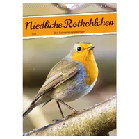 Calvendo Niedliche Rotkehlchen (Wandkalender 2025 DIN A4 hoch), CALVENDO