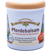 Axisis Pferdebalsam mit Teufelskralle & Murmeltieröl