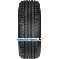 Fortuna Gowin UHP 205/55 R16 91V