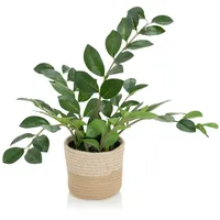 HJH Office Kunstpflanze ZAMIE Zamioculcas Grün