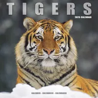 Avonside Tigers – Tiger 2025 – 16-Monatskalender: Original Avonside-Kalender