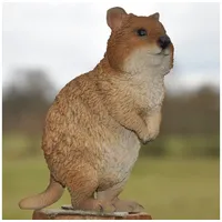 Dazikemo Dekofigur Gartenfigur Erdmännchen