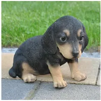 Dazikemo Dekofigur Gartenfigur Dackel schwarz braun