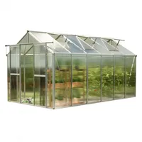 Gfp garten- & freizeitprofi GFP Gewächshaus SAPHIR 6 aus
