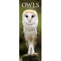 Avonside Owls – Eulen 2025: Original Avonside-Kalender – Slimline