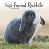 Flechsig Lop-eared Rabbits – Widderkaninchen 2025 – 16-Monatskalender: Original