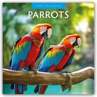 Browntrout Verlags GmbH Parrots – Papageien 2025 – 16-Monatskalender:
