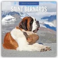 Browntrout Verlags GmbH Saint Bernards – Bernhardiner 2025 –