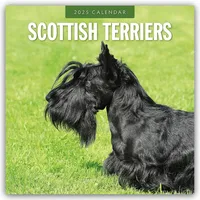 Browntrout Verlags GmbH Scottish Terrier – Scotchterrier 2025 –