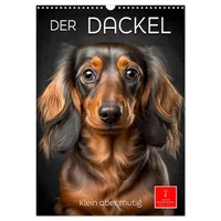 Calvendo Der Dackel - klein aber mutig (Wandkalender 2025