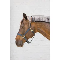 Kentucky - Halfter COB - Navy - Nylon