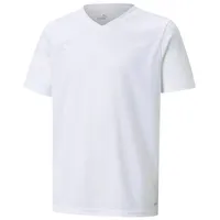 Puma teamFLASH Trikot Kids Weiss F04