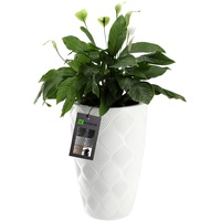Kadax Blumentopf mit Einsatz und Griffen, aus Kunststoff, 48.5