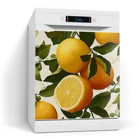 Deqori Magnetfolie für Spülmaschine 60x60 cm | Motiv Zitruszauber