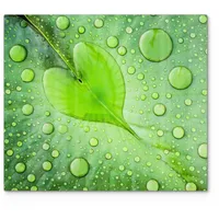 Deqori Herdabdeckplatte Glas | einteilig 60x52 cm | Motiv