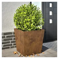 VidaXL Pflanzkübel 2 Stk. 50x50x50 cm Wetterfester Stahl