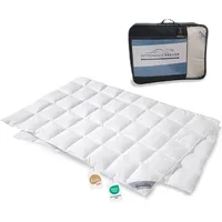 SPESSARTTRAUM Daunenpass Sommer Daunen Bettdecke Sommerbett Sommerdecke 320g 135x200