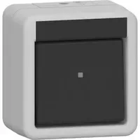 Gira Wechselschalter 310630