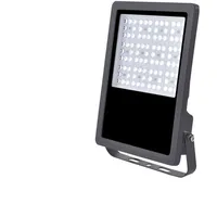 BIOLEDEX ASTIR LED Fluter 100W 60° 15000Lm 6500K IP65