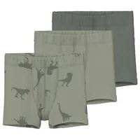 NAME IT Jungen Nmmtights 3p Agave Green Dino Noos