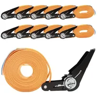 Baumarktplus 10x Spanngurt mit Ratsche 6m einteilig 800kg 0,8t