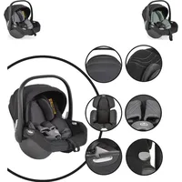 Cangaroo Babyschale i-Size (40 - 83cm) Gruppe 0+ Gurt,