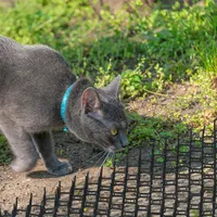 Relaxdays Dornengitter, 12er Set, Marder-& Katzenabwehr, Schutz für Beete,